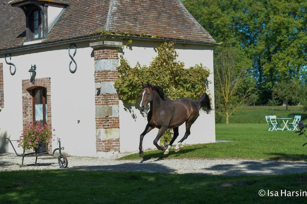 Le Domaine De Toussacq Bed and Breakfast Villenauxe-la-Petite Exteriör bild